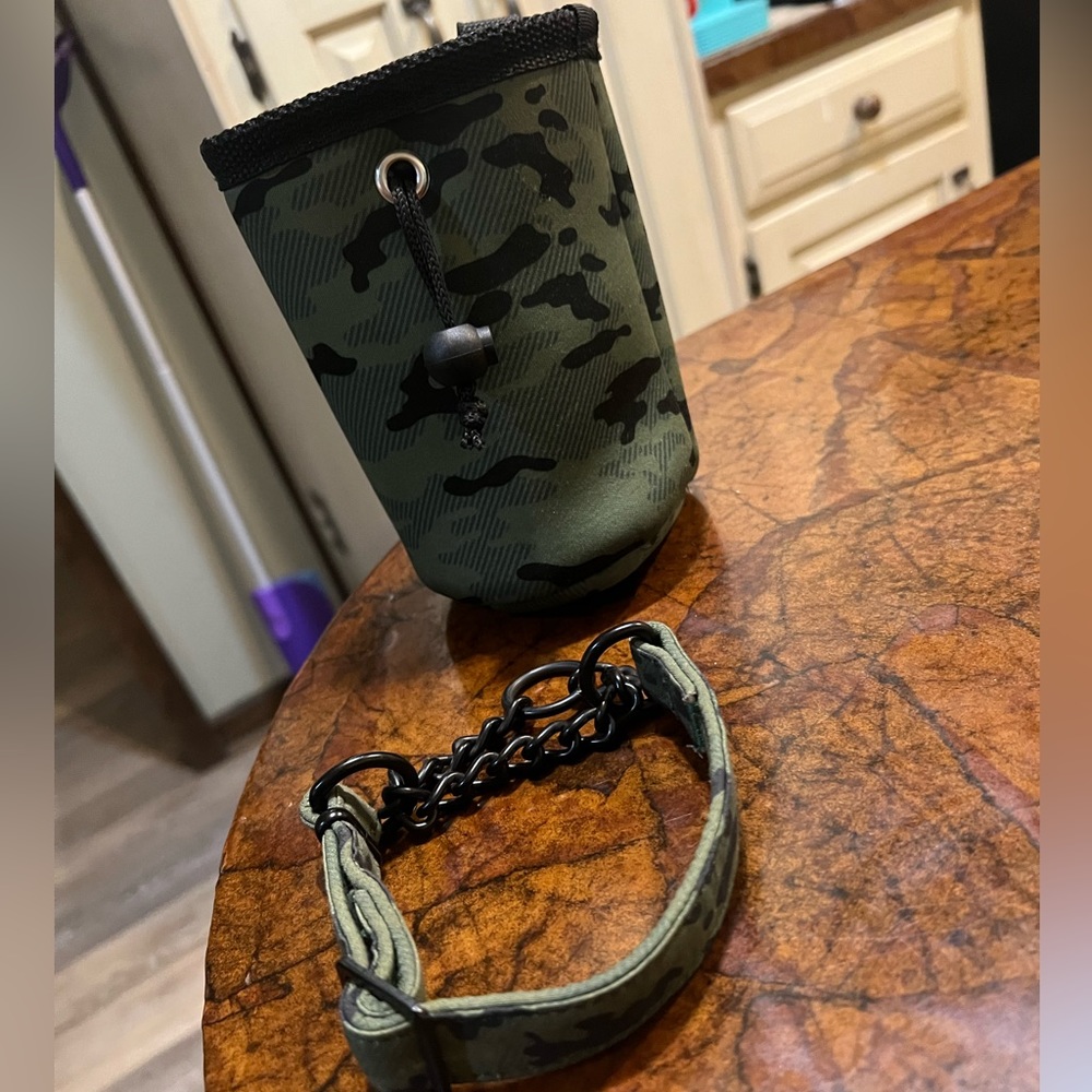 TopPaw treat pouch & martingale bundle